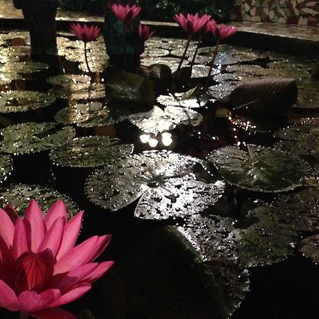The Lotus Garden Bed & Breakfast Puerto Princesa Luaran gambar