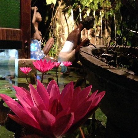 The Lotus Garden Bed & Breakfast Puerto Princesa Luaran gambar