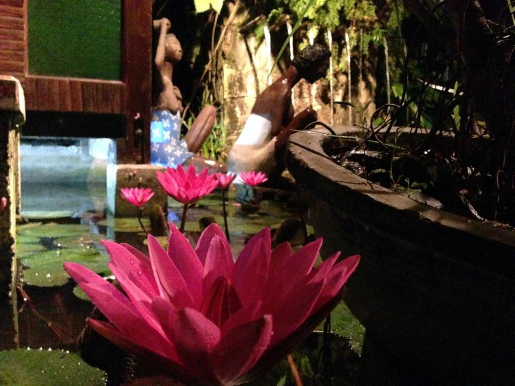 The Lotus Garden Bed & Breakfast Puerto Princesa Luaran gambar