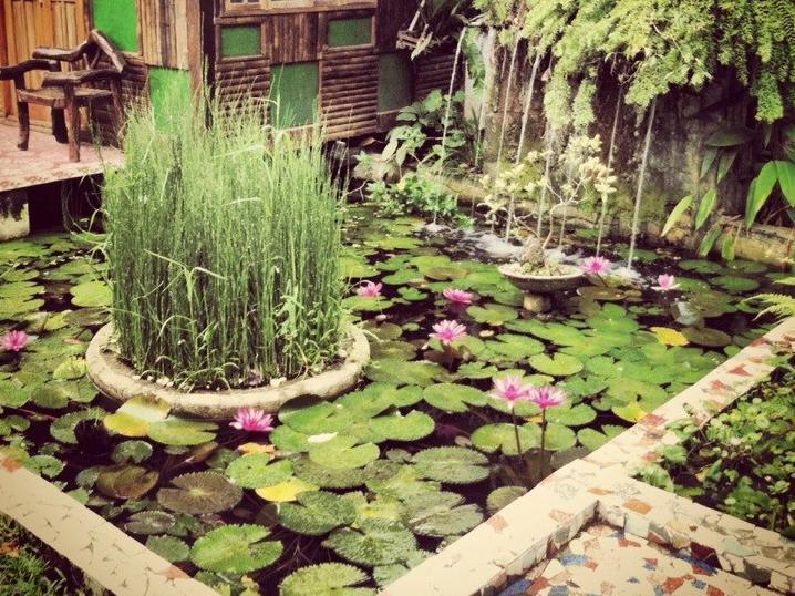 The Lotus Garden Bed & Breakfast Puerto Princesa Luaran gambar